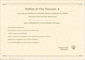 diplome de chat_s