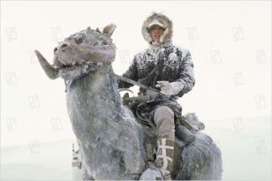 18831350.jpg-r_640_600-b_1_D6D6D6-f_jpg-q_x-xxyxx