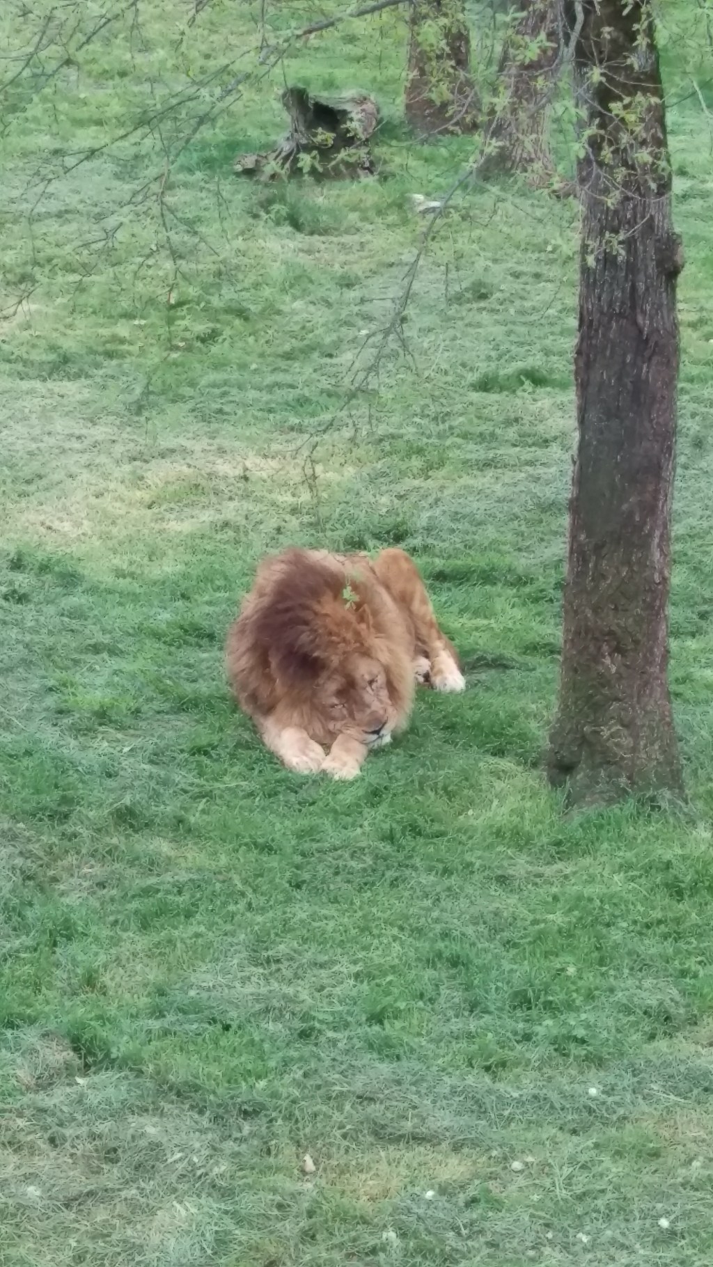 June vous balade&nbsp;!