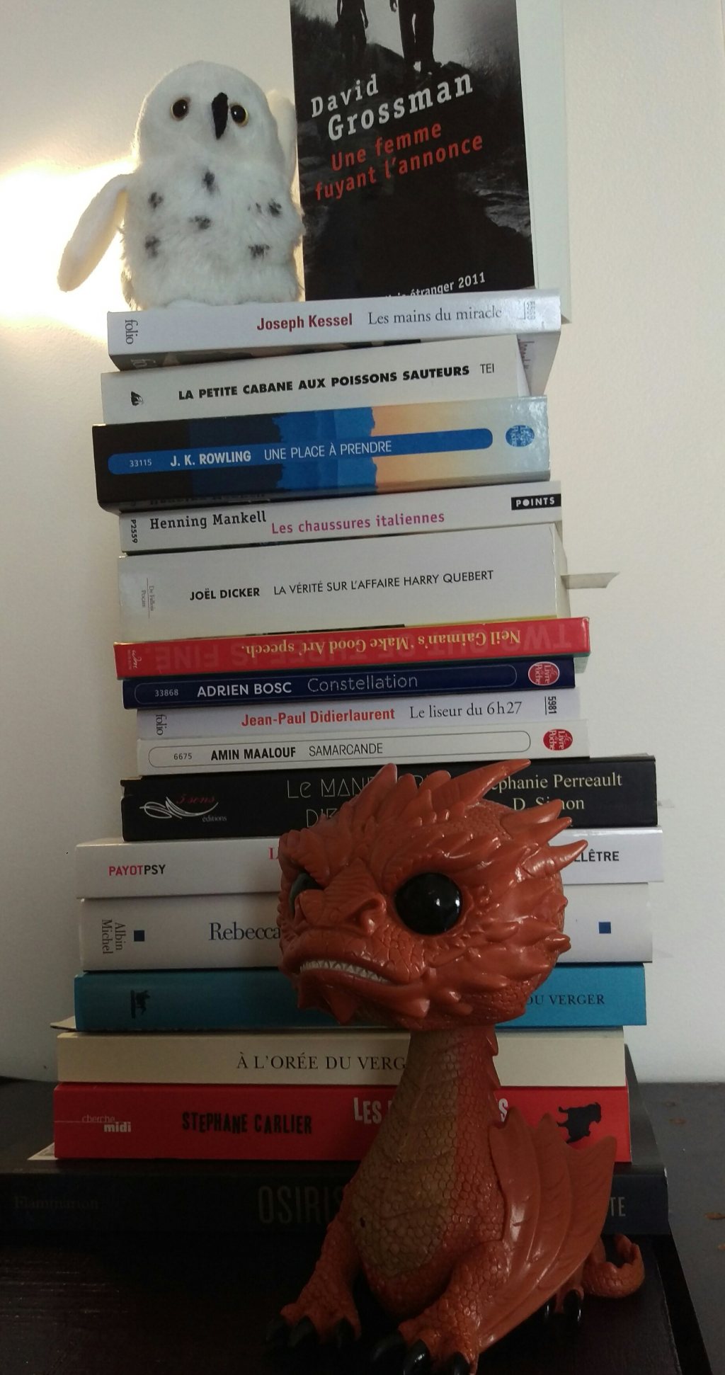 Qui a peur du grand méchant livre&nbsp;?