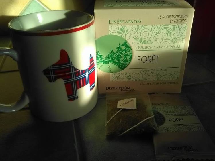 15037302_1253227228032891_8912496133874690512_n