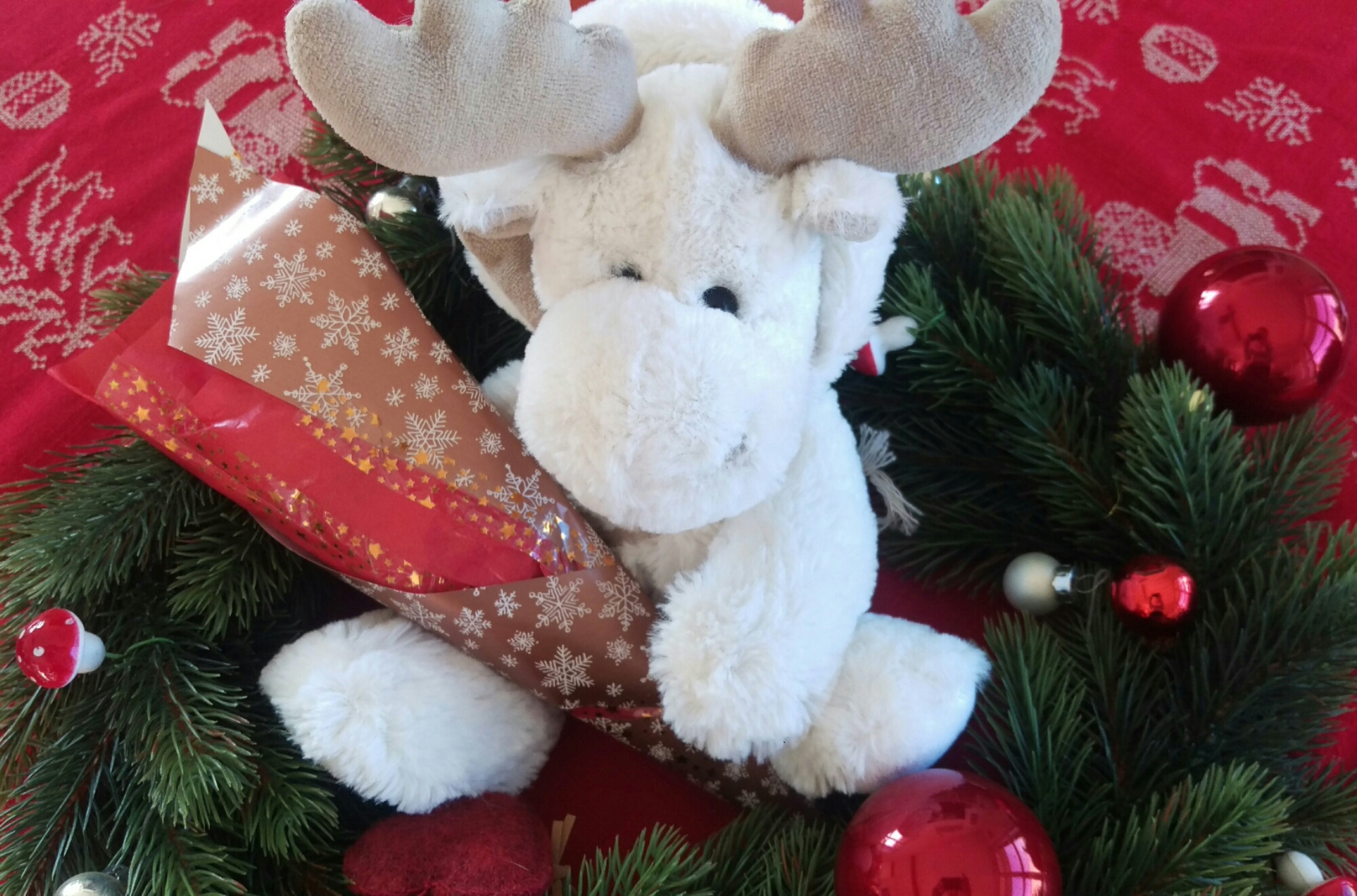 IMAG2672_1.jpg image