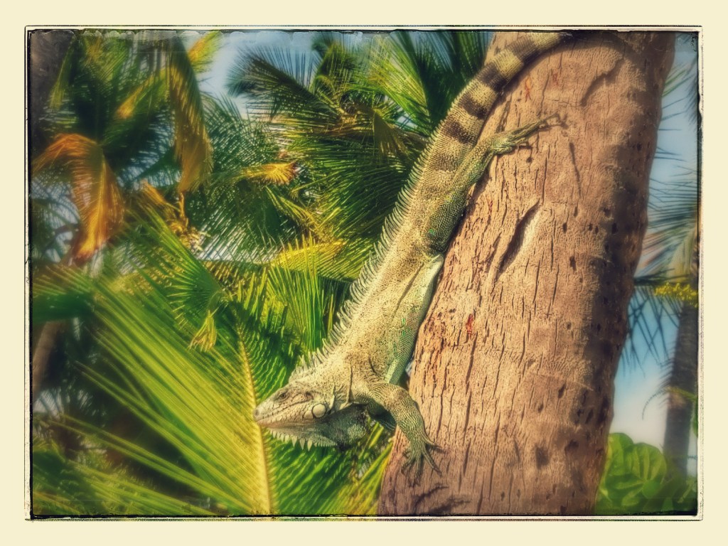 Carnets de voyage&nbsp;#1