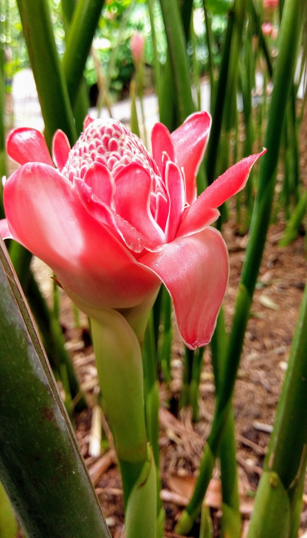 Carnets de voyage&nbsp;#3