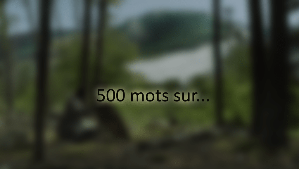 Ce que c’est qu’un pilot