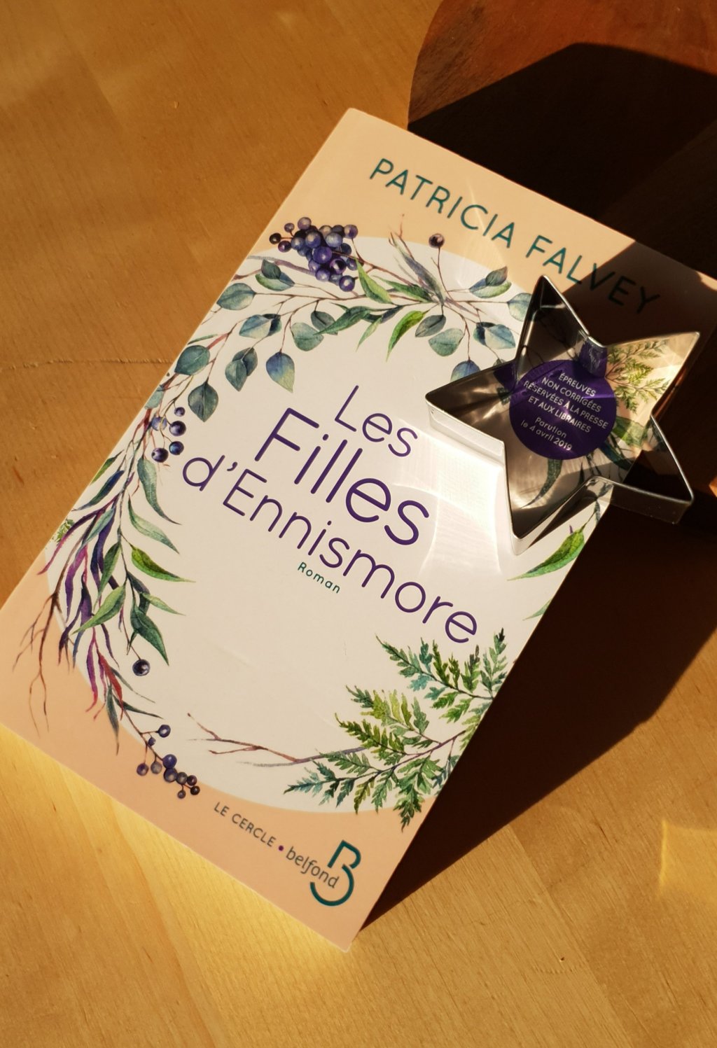 Les Filles d&rsquo;Ennismore : Downton Abbey à l&rsquo;irlandaise.