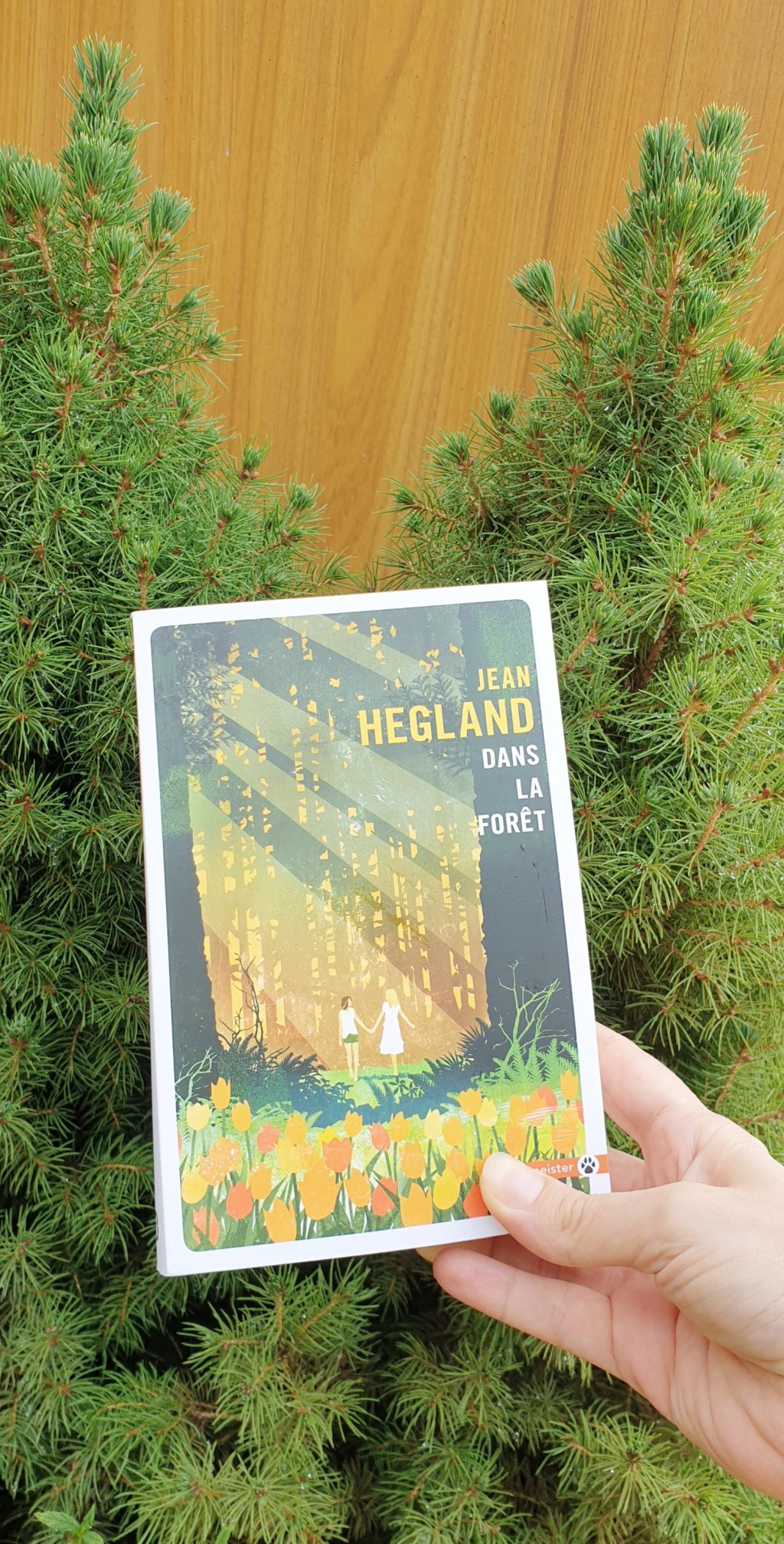 Dans la forêt : promenons nous dans les&nbsp;bois.