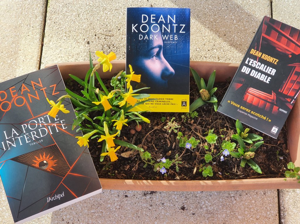 Saga Jane Hawk : et si on jouait au crime dans la tête&nbsp;?