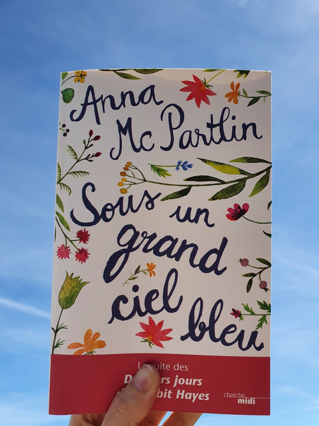 Sous un grand ciel bleu : trouver la&nbsp;résilience